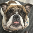 Lakewind Kennels - Pet Services
