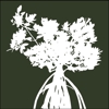 Mangrove Financial Group gallery