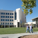 UC Davis Vet Teaching Hospital - Veterinarians