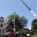 Thate's Tree Service - Stump Removal & Grinding