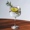 Bubbles & Booze gallery