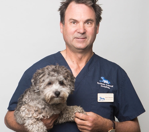 Sydney Animal Hospitals - Erskineville, NSW