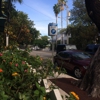 Sarabeth's Key West gallery