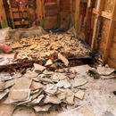 Charleston Termite Repair Specialists - Termite Control
