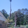 ESBS Tree Services gallery