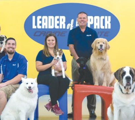 Leader of the Pack Canine Institute - Allentown, PA. The management team at Lopci