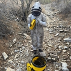 A.S.A.P. Bee Removal