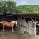 Jayell Ranch - Ranches