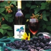 Hill Top Berry Farm & Winery gallery