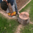 Elevated Creations Landscaping, LLC - Landscape Designers & Consultants