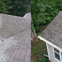 Pro Roof Cleaning