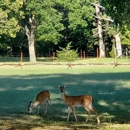Cobb RV Park