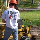 Clean Cut Tree Service - Stump Removal & Grinding