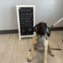 VCA Devotion Animal Hospital - Veterinarians