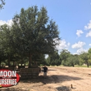 Moon Valley Nurseries - Glen Flora Farms - Nurseries-Plants & Trees