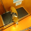 Banfield Pet Hospital gallery