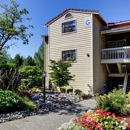 2000 Lake Washington Apartments - Apartments