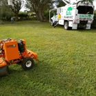 All About Trees Tree Service