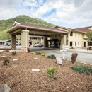 Comfort Inn near Great Smoky Mountain National Park - Motels
