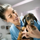 Barfield Animal Hospital - Veterinarian Emergency Services