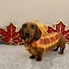 Ashland Area Veterinary Clinic gallery
