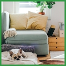 Inspection Plus Ltd - Inspection Service