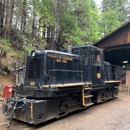 Yosemite Mountain Sugar Pine Railroad - Amusement Places & Arcades