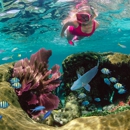 Sundiver Snorkel Tours