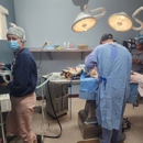Hanover Veterinary Hospital - Pet Services