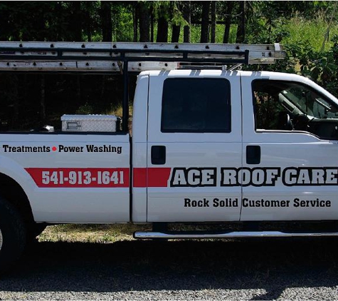 Ace Roof Care