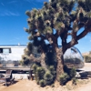 Rimrock Ranch gallery