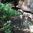 Babcock State Park - State Parks