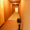 Full Draw Archery & Taxidermy Studio - Taxidermists