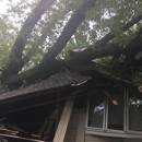Ahlers Tree Service Inc - Stump Removal & Grinding