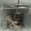 Carolina Ductmasters & Chimney Sweeps gallery