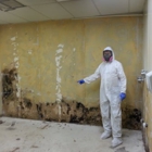 Pro Mold Solutions