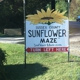 Sussex County Sunflower Maze