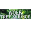 Wolf Tree Service gallery