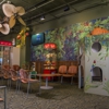 Pediatric Ophthalmology of Erie, Inc. gallery