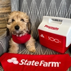 Brooke Palmer - State Farm Insurance Agent