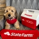 Chanse Meylan - State Farm Insurance Agent