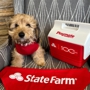 Rich File - State Farm Insurance Agent