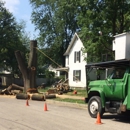 Hoover's Tree Service - Tree Service