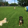 University City Dog Park gallery