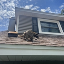Gulf Coast Wildlife Removal Fl - Pest Control Equipment & Supplies