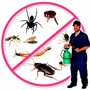 Service Plus Pest Control