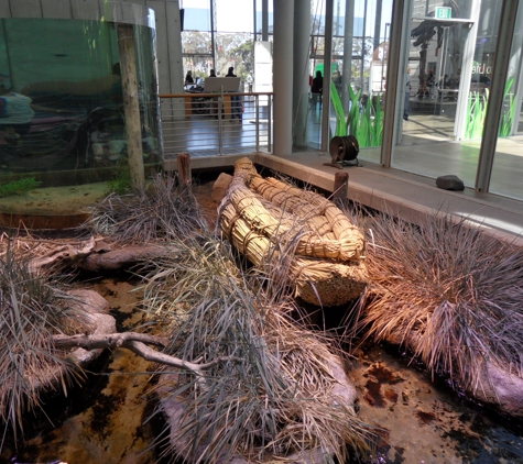 California Academy of Sciences - San Francisco, CA