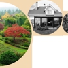 Affordable Landscape & Maintenance gallery