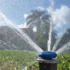 Living Water Irrigation Design & Repairs gallery