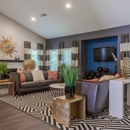 Hampton Greene Apartment Homes - Apartments